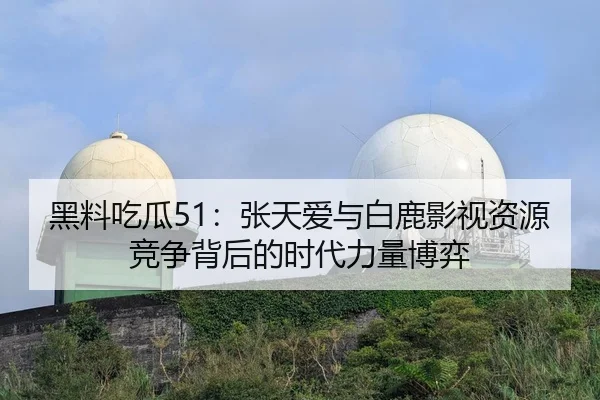 黑料吃瓜51：张天爱与白鹿影视资源竞争背后的时代力量博弈